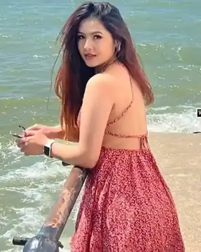Shahdara Escort Service