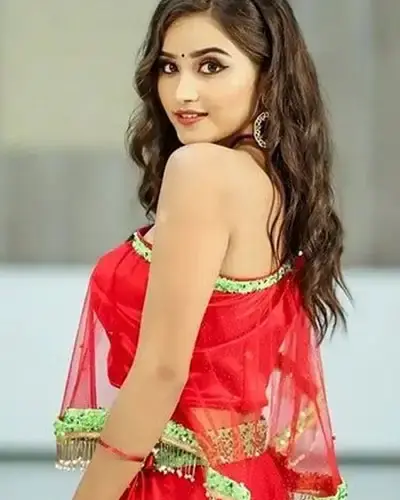 Escort In Shahdara